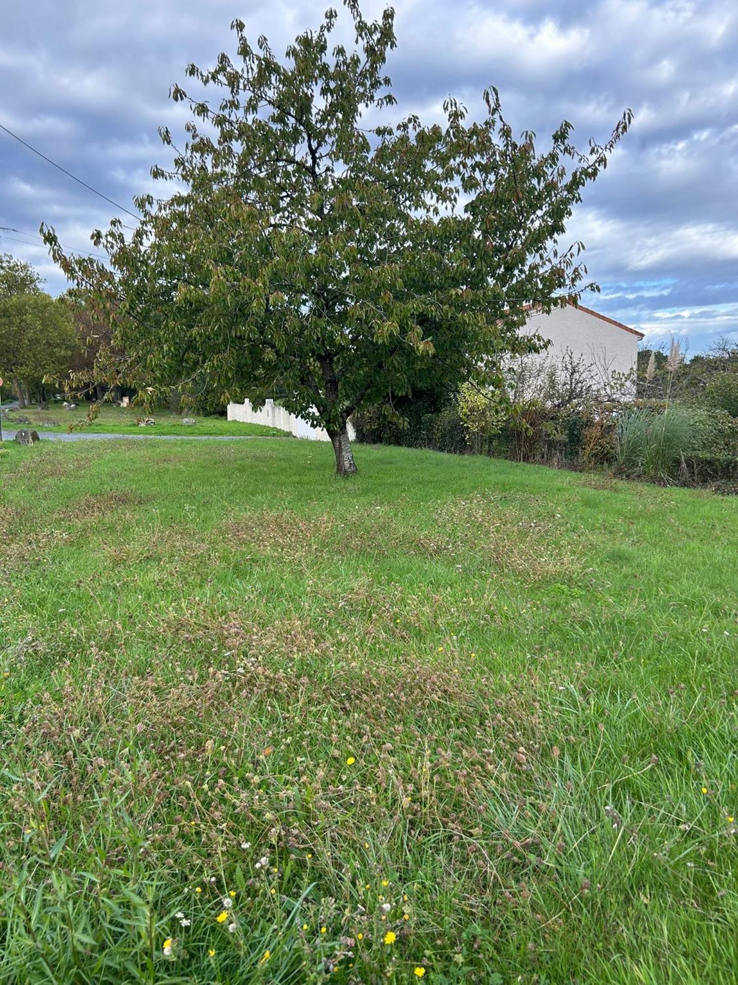 Maison De La Greve - Coeur De Marans Avec Cour *